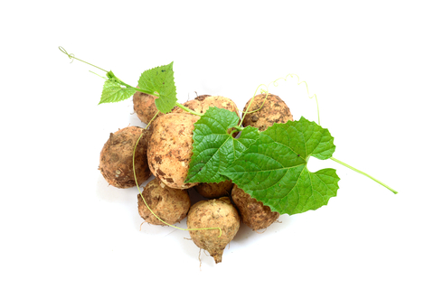 Wild yam plant commonly marketed as a menopause supplement