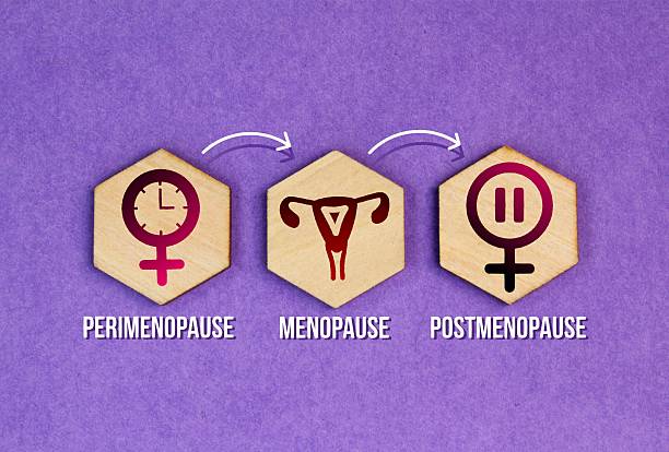 The Three Stages of Menopause: Symptoms, Timeline, and What to Expect