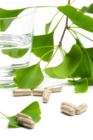 Ginkgo biloba leaves used to support blood flow and circulation in herbal medicine