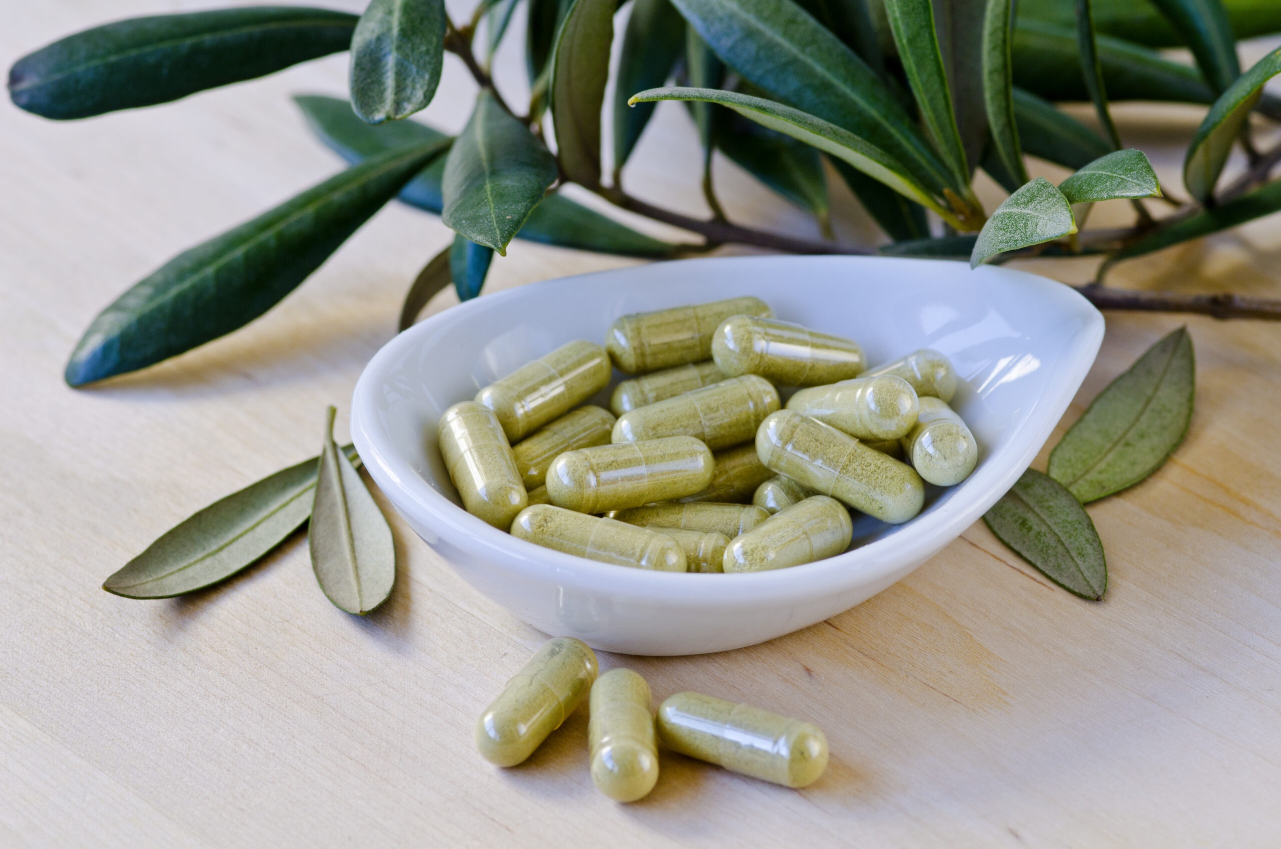 Olive leaf extract used in herbal medicine to support circulation and vascular function